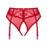 OBSESSIVE - DAGMARIE PANTIES CON LIGUERO M/L