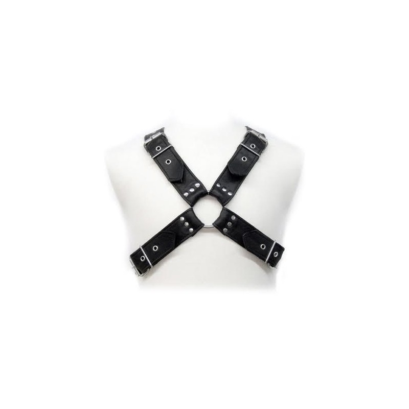 LEATHER BODY - BUCKLES HARNESS