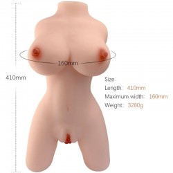 ARMONY - TORSO FEMENINO...